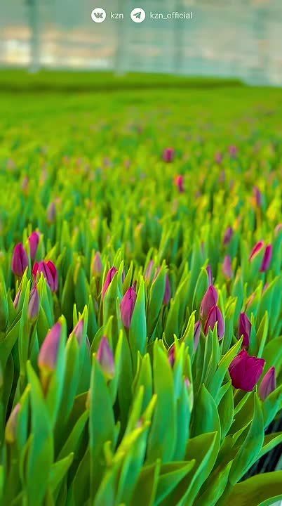 ����������? ������ ������. �� ������ ����� ����, � ����� ��� ��������� � ������ ��������� ������� ����