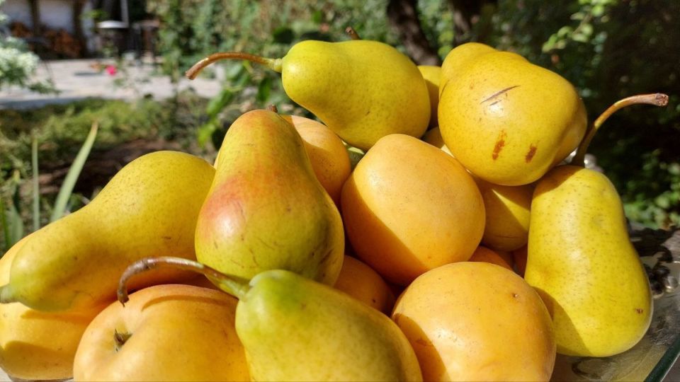 �����: �������������� ����� � ������������ �������� � ������������ ����������