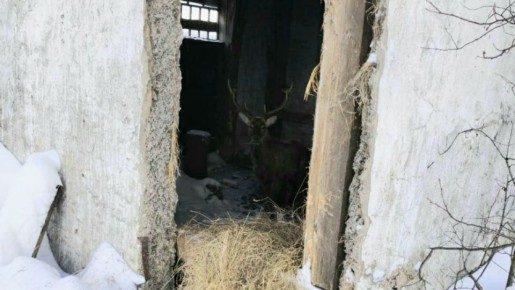 ������������ ������� ������ � ����� �������� ������������ � ��������� ������