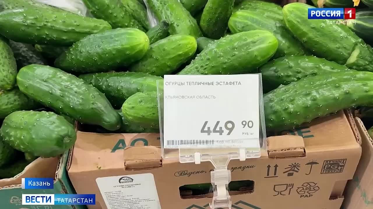 «Вести» выяснили, почему огурцы в Татарстане подорожали до 500 рублей за кг