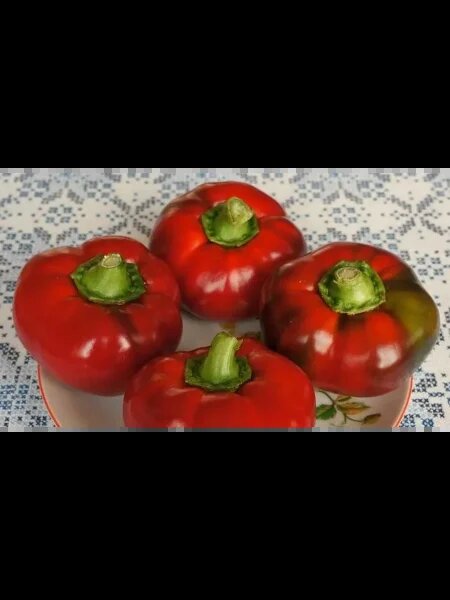 Сладкий перец «Яблочко»: идеальный выбор для огорода