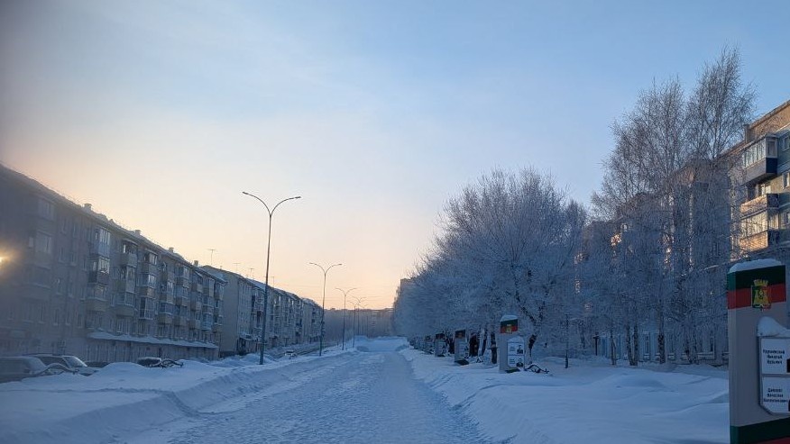 Как согреться во время морозов: рецепт ягодного пирога на каждый день