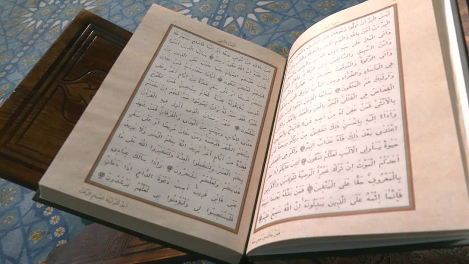 ������ ����������: ���� ������� �� ����� ������!