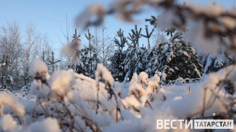 � ���������� ������ ������� �������� �������� 95 ��