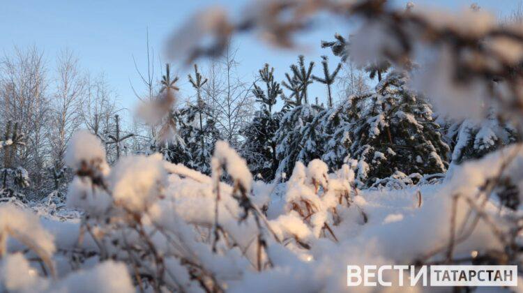 В Татарстане высота снежных сугробов достигла 95 см