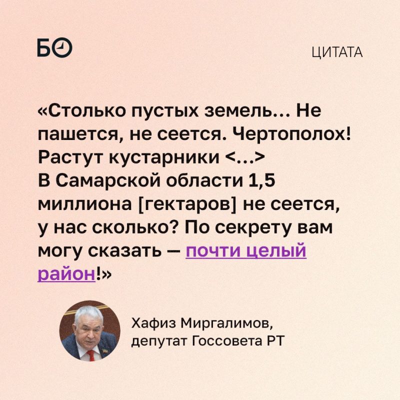 В Татарстане хотят разобраться с пустующими сельхозугодьями