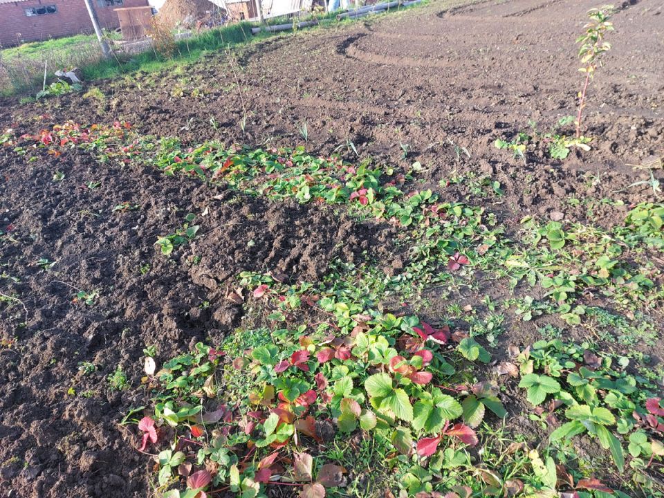 ��������� ������� ��� ������� �����: ��� ������������� ������� ���� �� ������