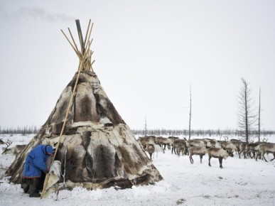 Новый закон о кочевом образе жизни: как это изменит судьбы коренных народов