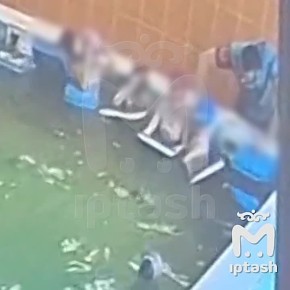 ������ �� �������� ������ 5-������� ������ �� ������ � ������ ������������ ������