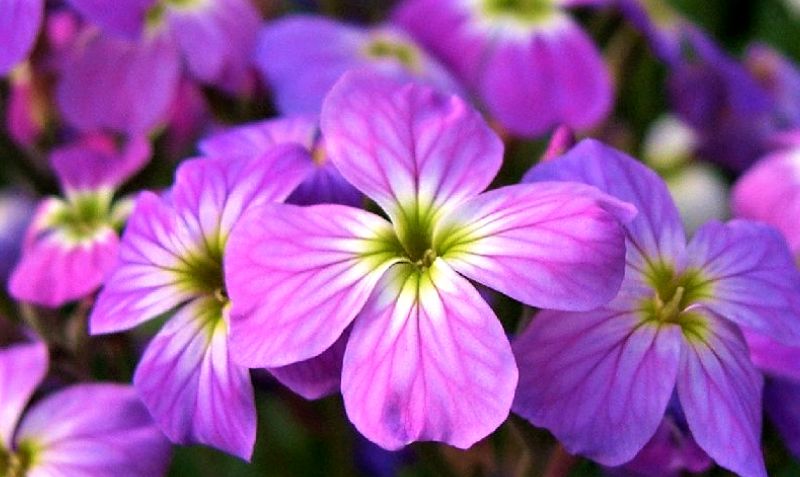 �������� ��������� ����� � ��������������� ��������� ��� ���� �� �������!