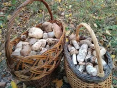 �������� �������� ������: ��� ������ ������ � �������?