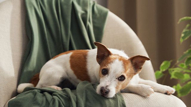 Как получить двойную сумму за задаток, если сделка сорвалась: ваши права