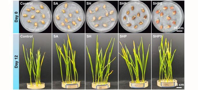 ������ ���������� ������������ ����� ��� ��������� ����������� �������