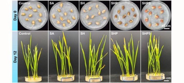 ������ ���������� ������������ ����� ��� ��������� ����������� �������