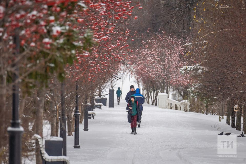 Погода в Татарстане на 23 февраля: ветрено, местами снег и гололедица