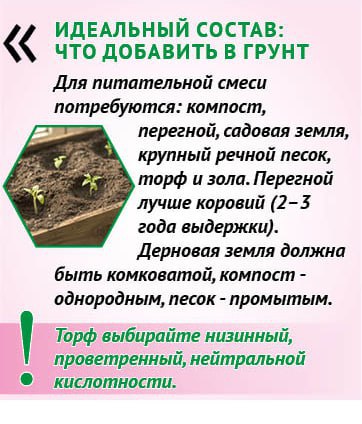 Почему «правильную» почву для рассады не купить в магазине Почему «правильную» почву для рассады не купить в магазине