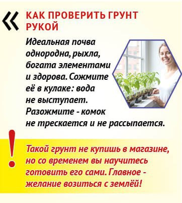 Почему «правильную» почву для рассады не купить в магазине Почему «правильную» почву для рассады не купить в магазине