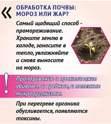 Почему «правильную» почву для рассады не купить в магазине Почему «правильную» почву для рассады не купить в магазине
