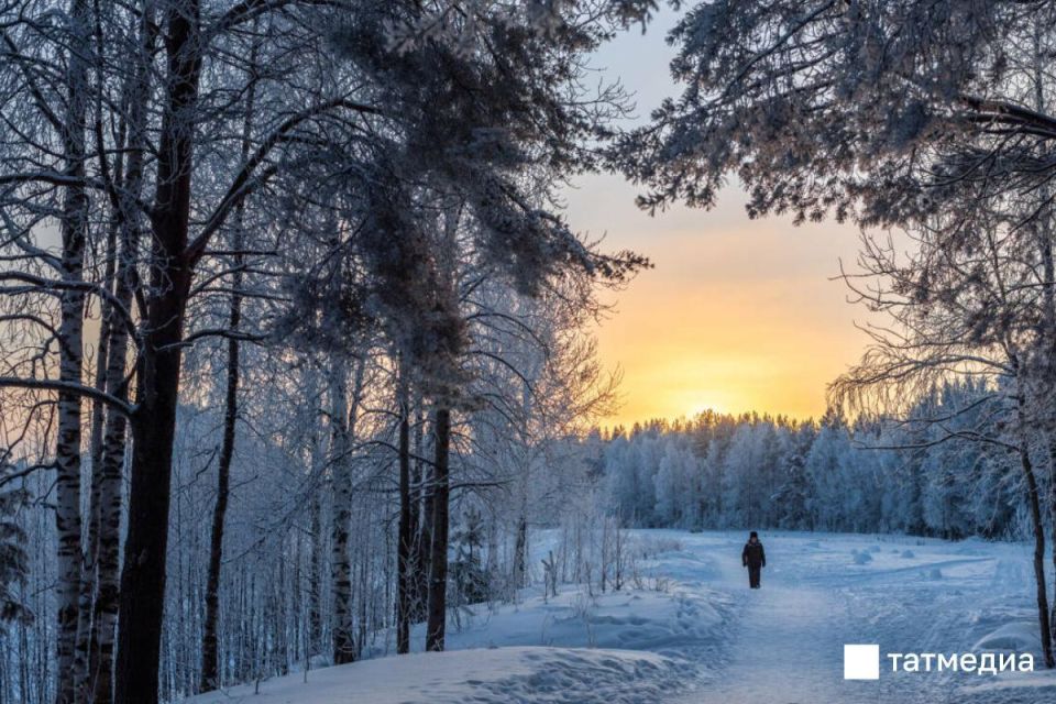 � ���������� 22 ������� ������� �� ���������, �� ������� ���������� ����������