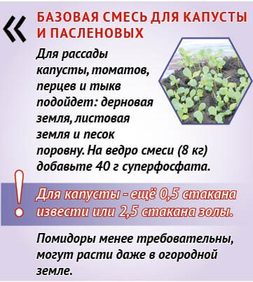 Почему «правильную» почву для рассады не купить в магазине Почему «правильную» почву для рассады не купить в магазине