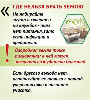 ������ ������������ ����� ��� ������� �� ������ � ��������