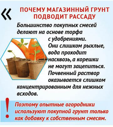 Почему «правильную» почву для рассады не купить в магазине Почему «правильную» почву для рассады не купить в магазине