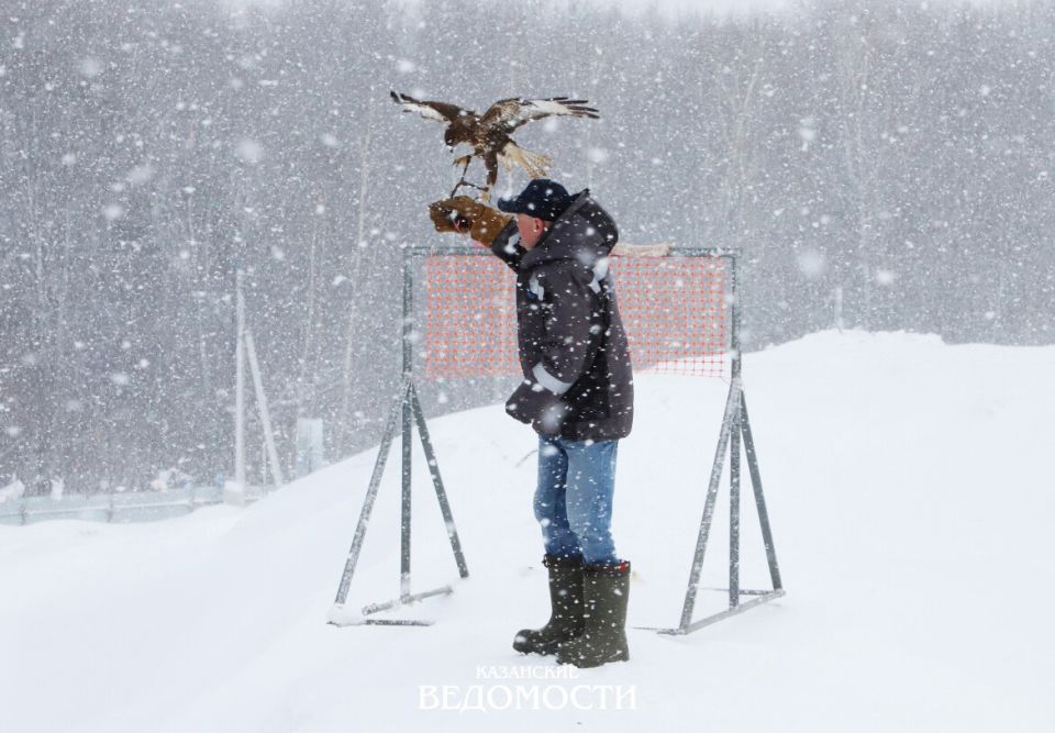 �������� ������� �������� ����������: ���� � ������ �� ������ ������� � �������