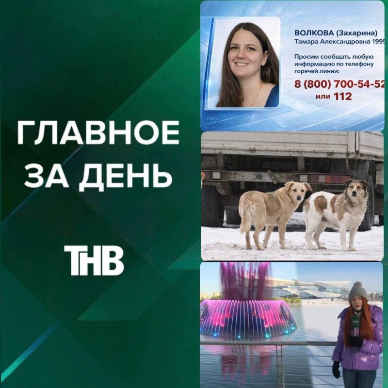 Скандал в Нижнекамске, исчезновение Тамары Волковой, обрушения крыш, мусор в Казани, новые правила для бездомных животных и благоустройство Кабана | ГЛАВНОЕ ЗА НЕДЕЛЮ