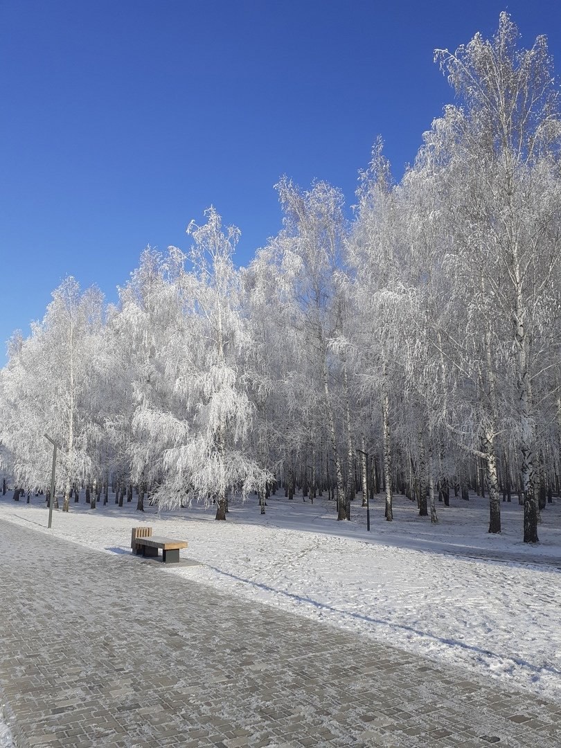 На первый день укороченной рабочей недели синоптики прогнозируют -6 градусов, южный ветер и без осадков