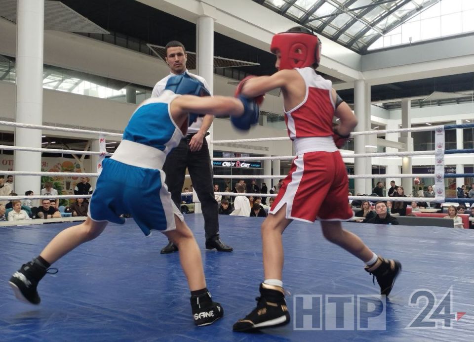 Накануне, в День защитника Отечества, в Нижнекамске прошел турнир по боксу, посвященный участникам специальной военной операции