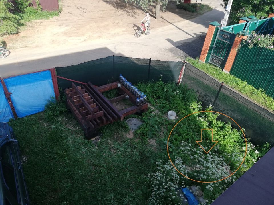 Как просто создать стильную и функциональную грядку на даче