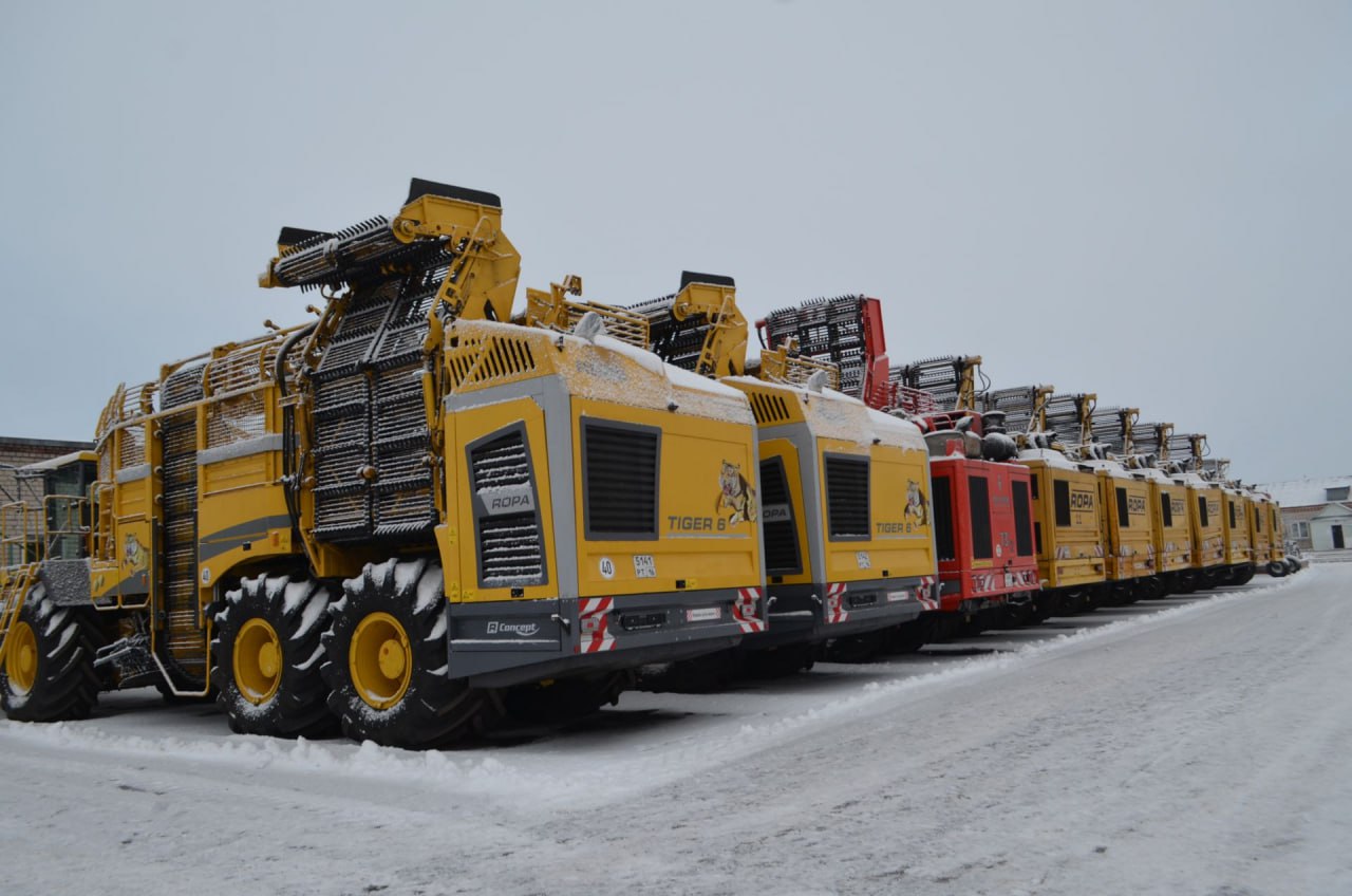 98% озимых культур в Татарстане перезимовали в хорошем и удовлетворительном состоянии