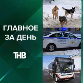 Стая собак напала на подростка, дело о нападении на таксиста дошло до Москвы, новый троллейбус «Горожанин» в Казани, 24 года за госизмену, новые суммы больничных в 2026-м, открытие аналога IKEA отложили | ГЛАВНОЕ ЗА НЕДЕЛЮ