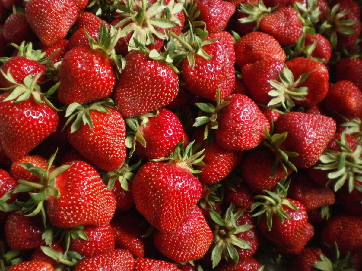 Что делать, если у клубники листья желтеют и скручиваются: быстрые советы