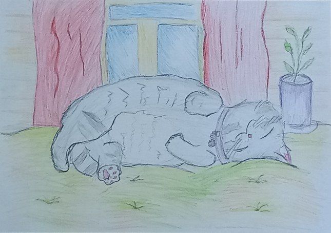 Кисонька. Анастасия Ахмаева, 11 лет, Казань