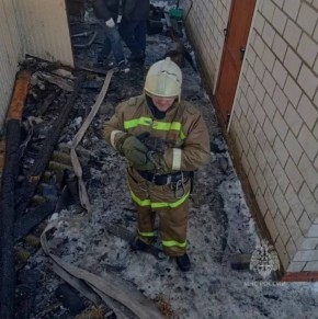 В Тюлячинском районе пожарные спасли кота из горящего сарая