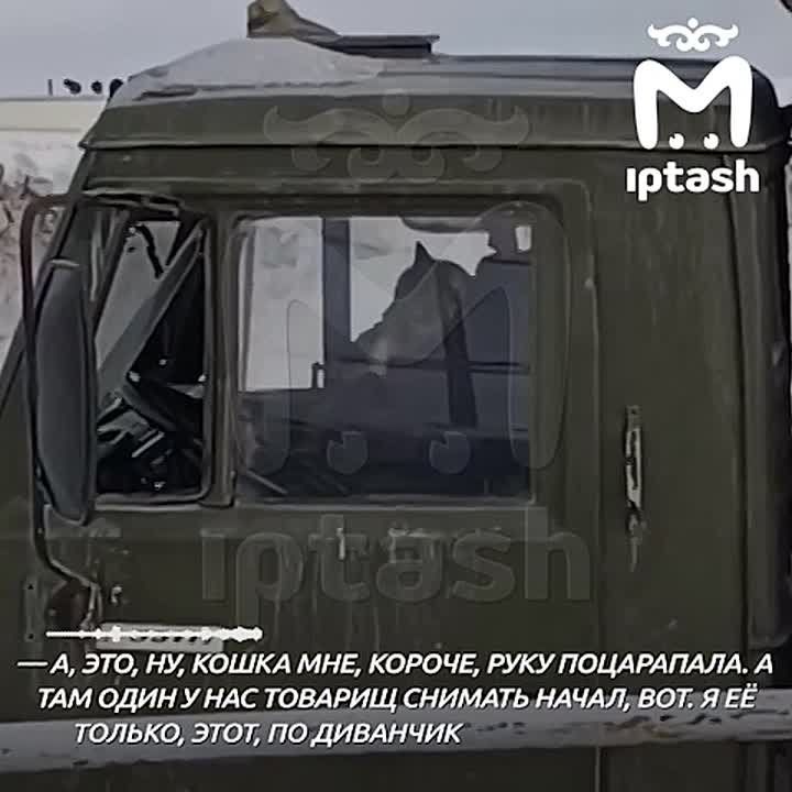 ��������, ������� ����� ����� � ���������, ������� ���� ������� � ������ � ����� �������