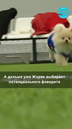 �����: ���-������������� ������ ������