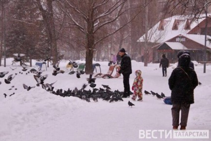 На выходных в Татарстане ожидается оттепель и снегопады
