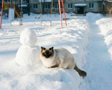 Зима сдаёт позиции: в Татарстан идёт резкое потепление