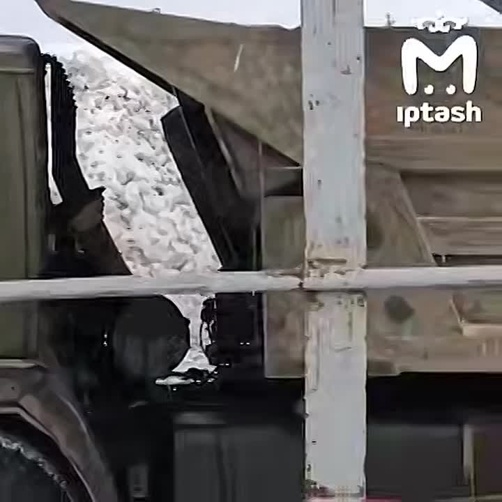 Водитель, который избил кошку в Заинске, задержан