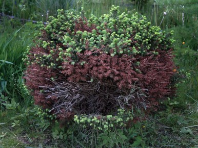 ��� ������� � ����� ������� �������: ������� �������