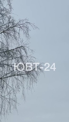 � ������������ ��������� �������� ���������