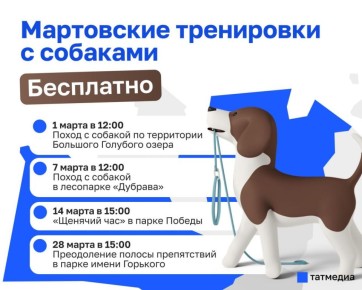 В марте казанцев приглашают на бесплатные тренировки с собаками