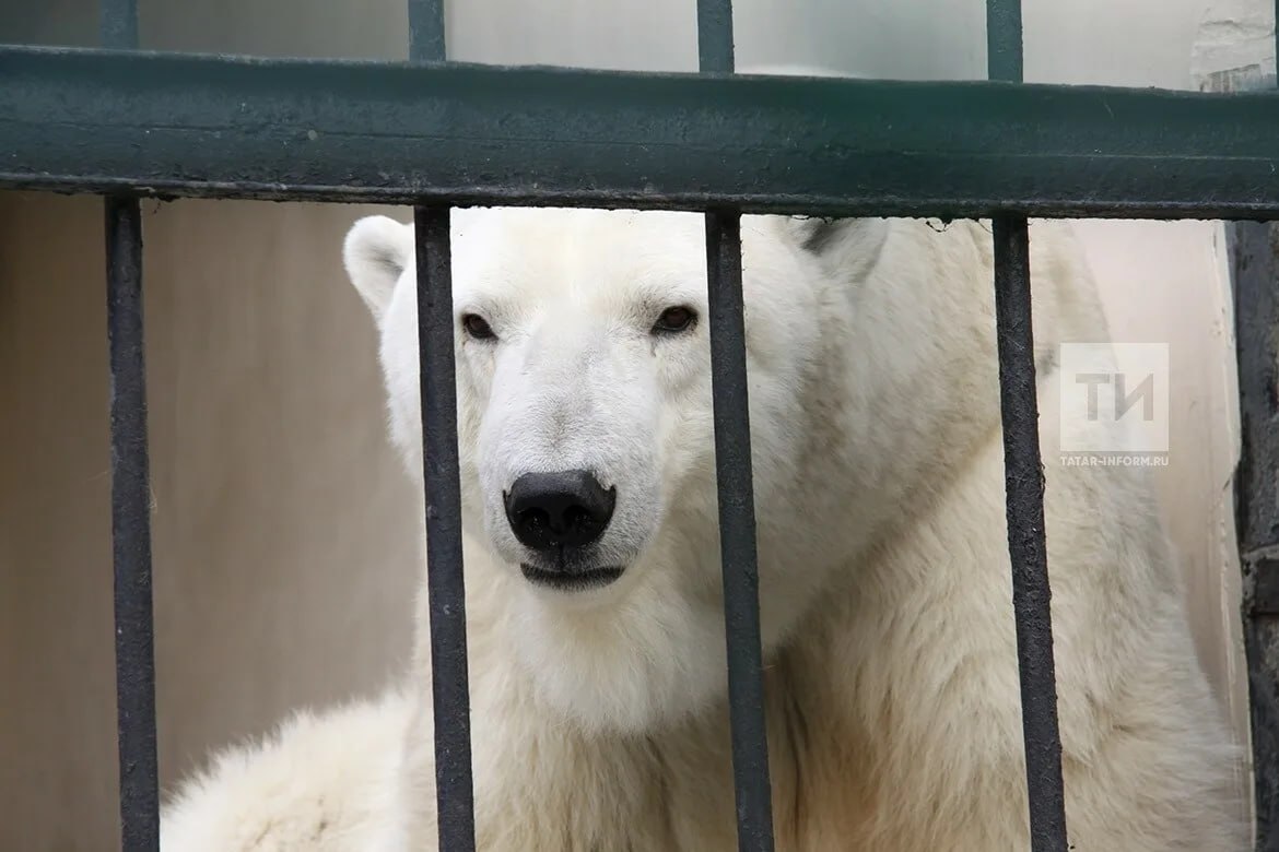 Доброе утро, Казань! Сегодня 27 февраля, и в мире отмечают сразу несколько интересных праздников
