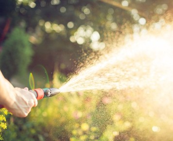 ��� �������� �������� � ����: ������ ������� � ������