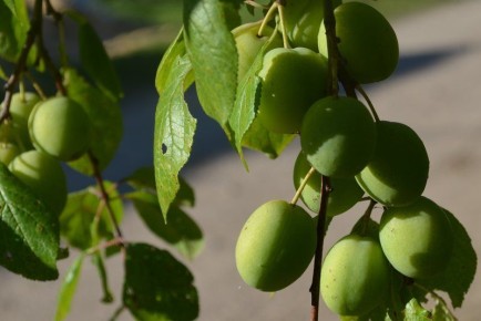 ��� ��������� �������� ����� ������ ��� ��������� ������