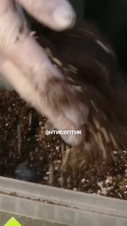 ���������� ������� ������: ��� �������� ��������� � �����