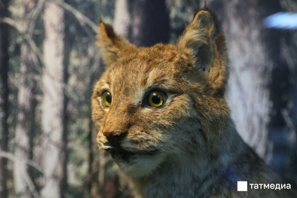 � ���������� 28 ������� ����������� ����� ����� �� ��� ������ �������� � ������