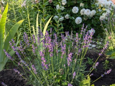 ������� �� ����: ��� ��������� ��������� ��������� ���